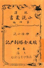 埃及金塔剖尸记  中 封面