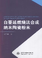 自蔓延燃烧法合成纳米陶瓷粉末 封面