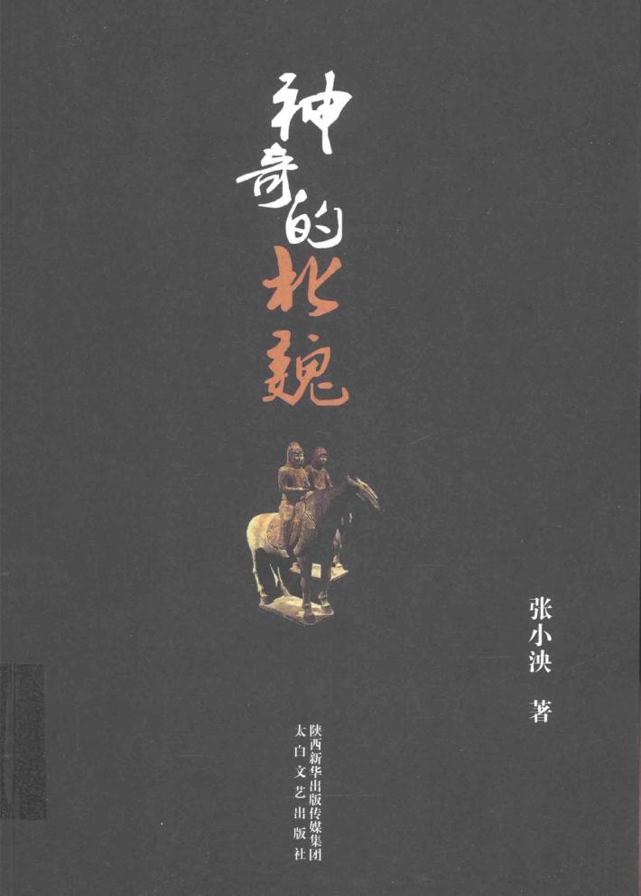 神奇的北魏 封面