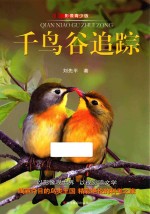 千鸟谷追踪  影像青少版 封面