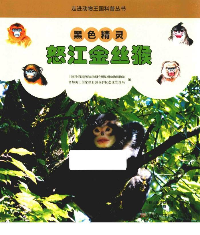 黑色精灵  怒江金丝猴 封面