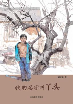 我的名字叫丫头 封面