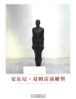 安东尼  葛姆雷谈雕塑 封面