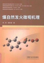煤自然发火微观机理 封面