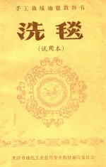 洗毯  试用本 封面