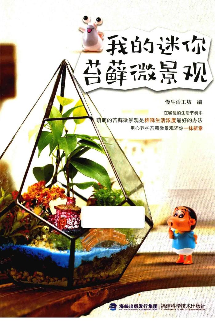 我的迷你苔藓微景观 封面