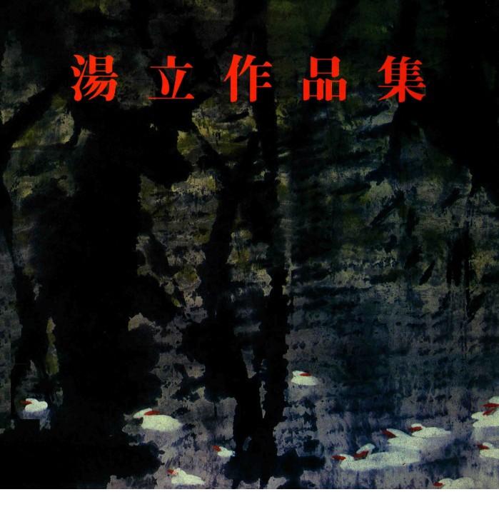 汤立作品集 封面