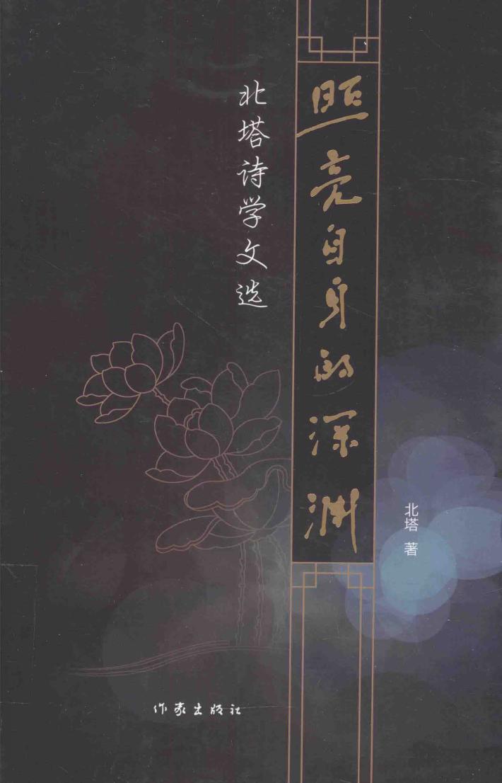 照亮自身的深渊  北塔诗学文选 封面