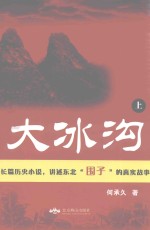 大冰沟  上 封面