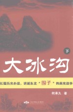 大冰沟  下 封面