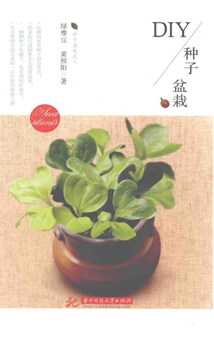 DIY种子盆栽 封面