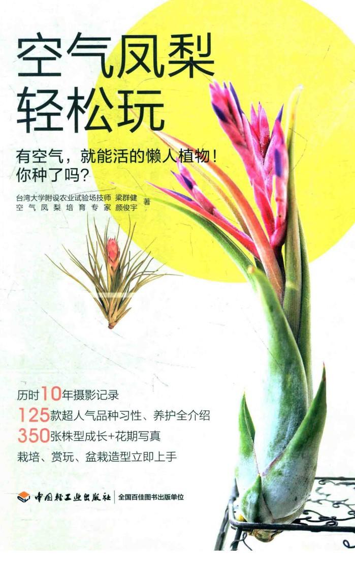 空气凤梨轻松玩 封面