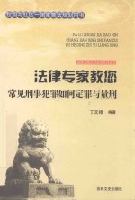 法律专家教您常见刑事犯罪如何定罪与量刑 封面