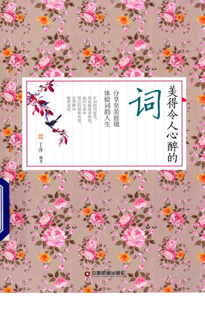 美得令人心醉的词 封面