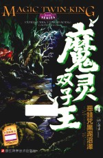 魔灵双子王  4  恶蛙咒黑泥沼泽 封面