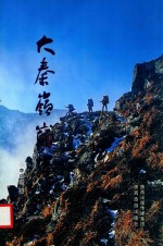 大秦岭巅峰 封面