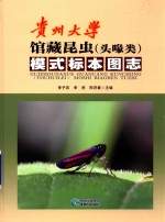 贵州大学馆藏昆虫（头喙类）模式标本图志 封面