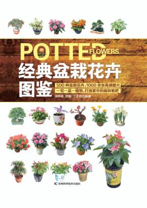 经典盆栽花卉图鉴 封面