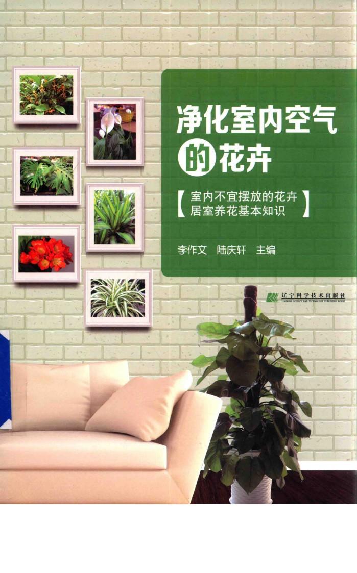 净化室内空气的花卉 封面
