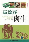高效养肉牛 封面
