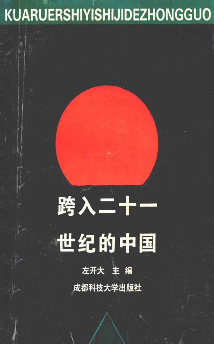 跨入二十一世纪的中国 封面