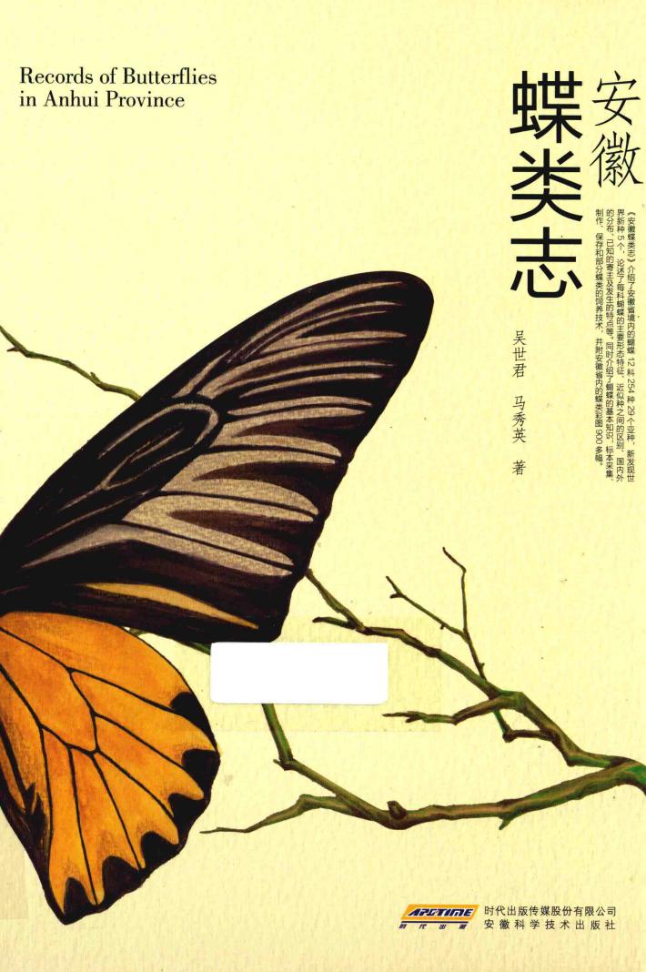 安徽蝶类志 封面