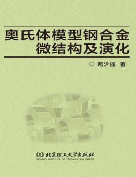 奥氏体模型钢微结构及其演化 封面