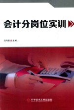 会计分岗位实训 封面