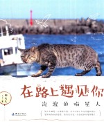 在路上遇见你  流浪的喵星人 封面