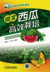 棚室西瓜高效栽培 封面