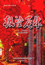 枫染层林 电子书封面