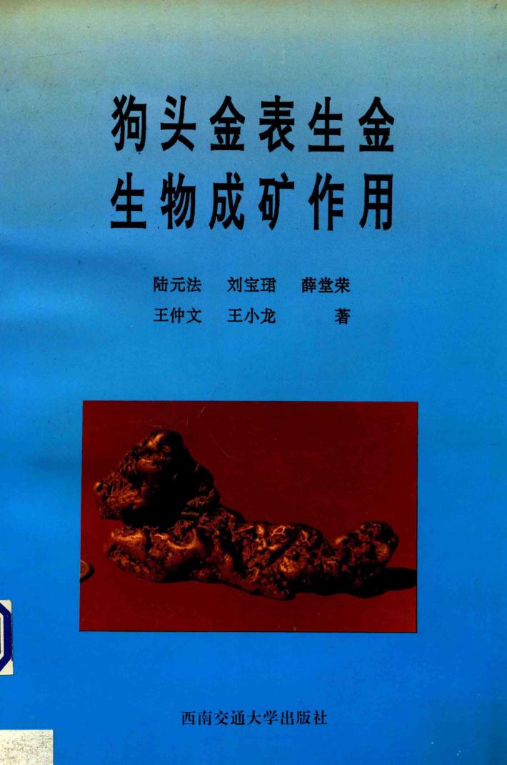 狗头金表生金生物成矿作用 封面