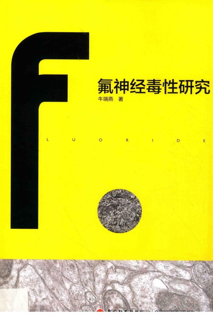 氟神经毒性研究 封面