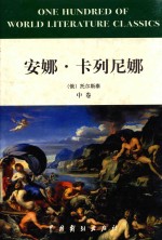 安娜·卡列尼娜  中 封面