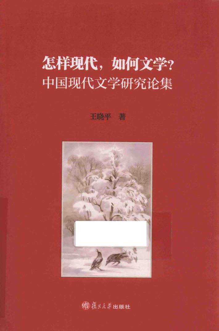 怎样现代，如何文学？中国现代文学研究论集 封面