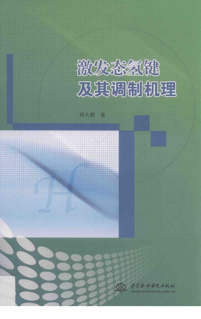 激发态氢键及其调制机理 封面