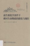 前生源化学条件下磷对生命物质的催化与调控 封面