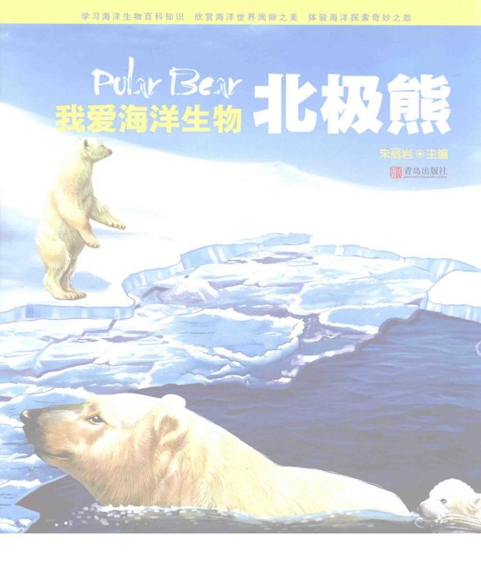 北极熊 封面