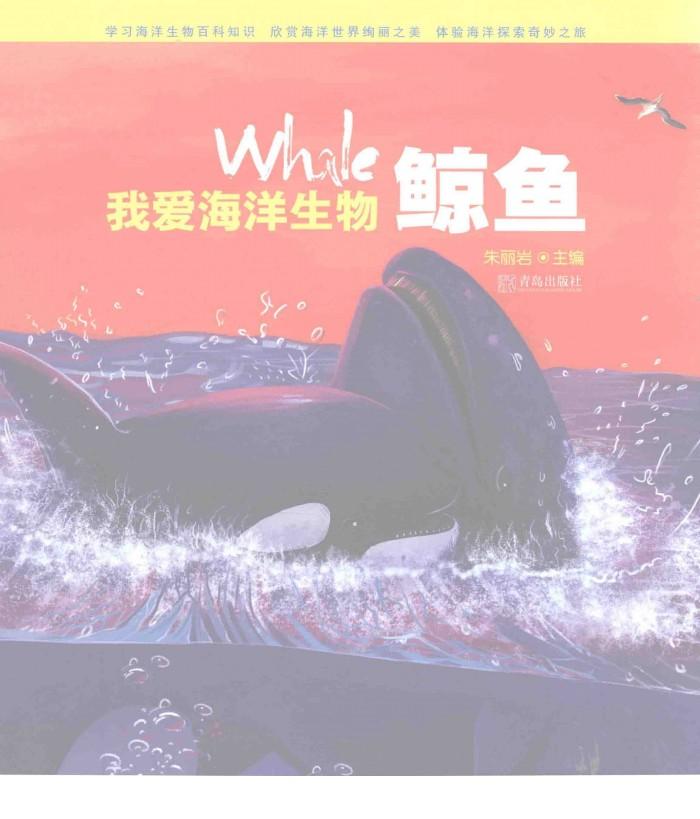 鲸鱼 封面