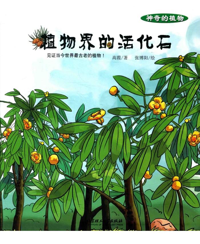 神奇的植物 植物界的活化石