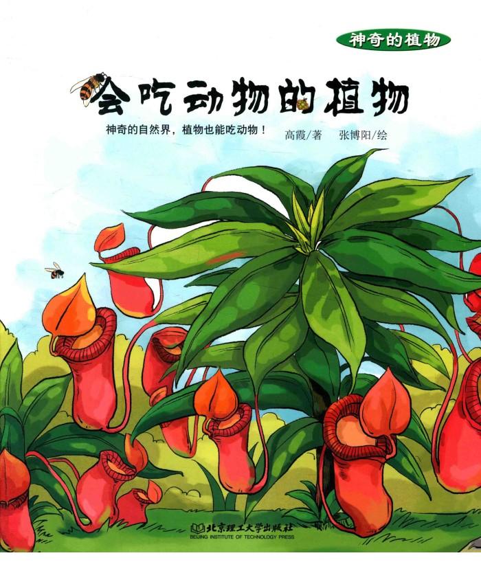 神奇的植物 会吃动物的植物