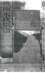 桃南朱氏宗谱  卷7  庚 封面