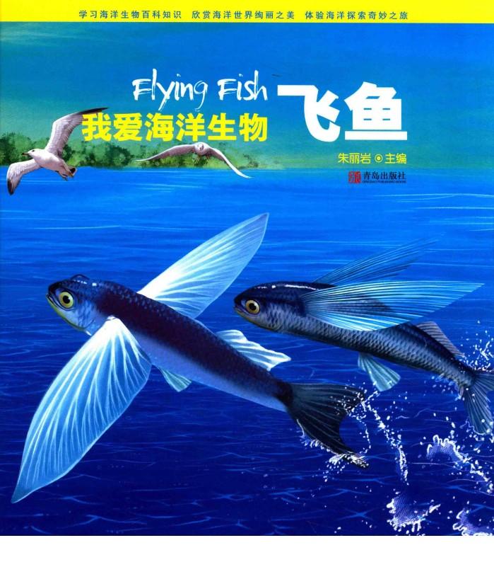 飞鱼 封面