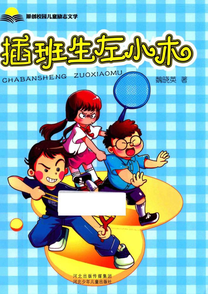 插班生左小木 封面