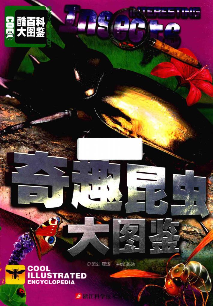 奇趣昆虫大图鉴 封面
