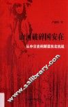 山河破碎国安在  从中日史料解读东北抗战 封面