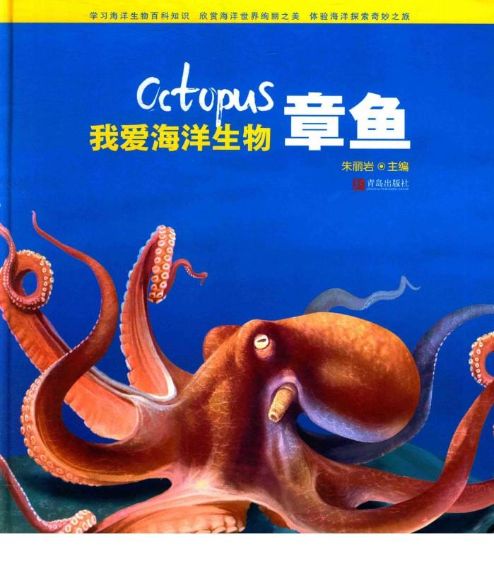 章鱼 封面