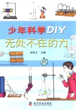 少年科学DIY  无处不在的力 封面