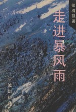 走进暴风雨 封面