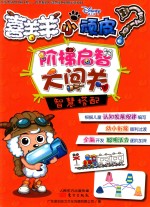 喜羊羊小顽皮阶梯启智大闯关  智慧搭配 封面